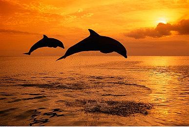 《文明7》评测解禁日期公布 提前一周看媒体评分